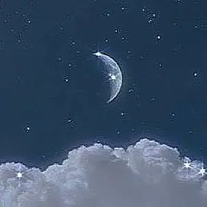 Profile image of コロンビーナ