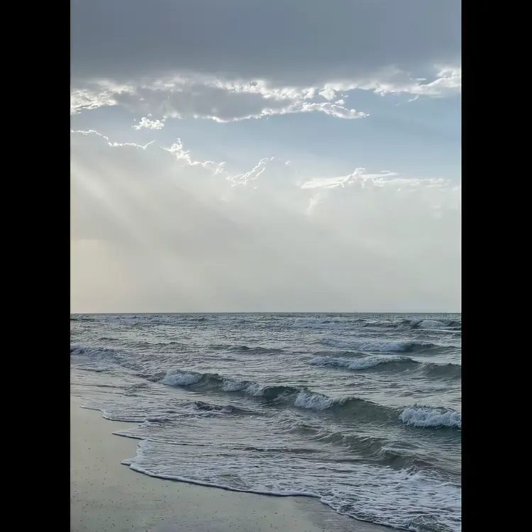 UntidySwipe1545의 まなとくん