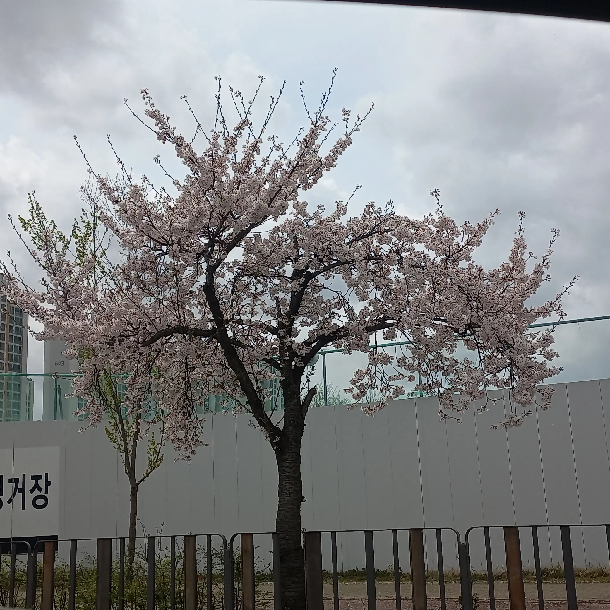 SalmonTuba1337의 블루록