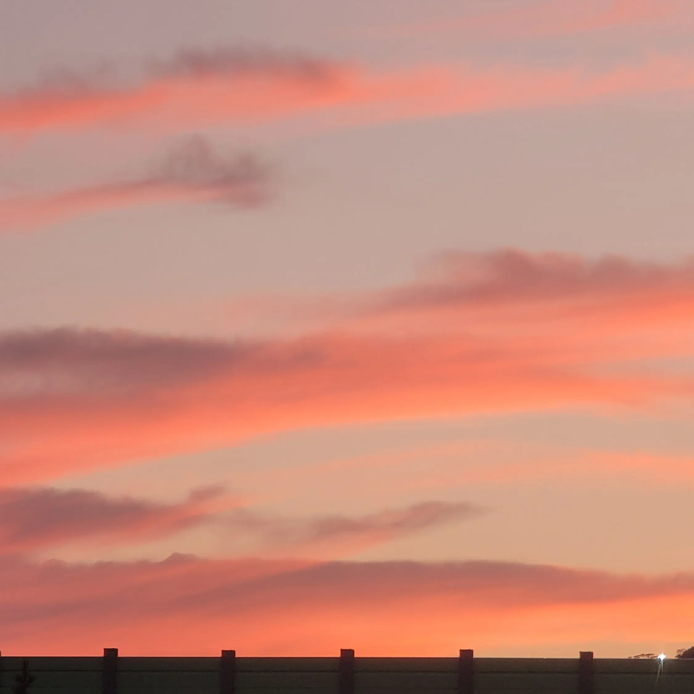 GrayChild7574의 김하령