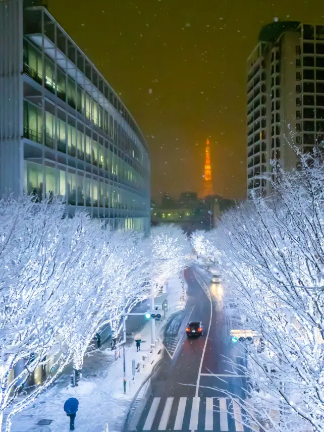 IcyNylon9539의 この雪が止む頃、もう一度