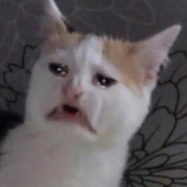 Teenieping123의 제작자