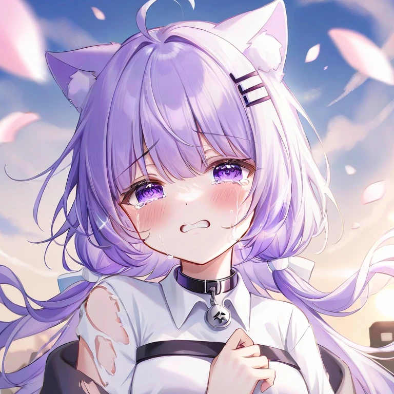 고양이 수인 다인