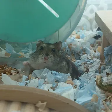 Profile image of 학대하는아빠