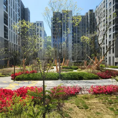 Profile image of 픽셀리