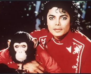 Profile image of Micheal jackson
