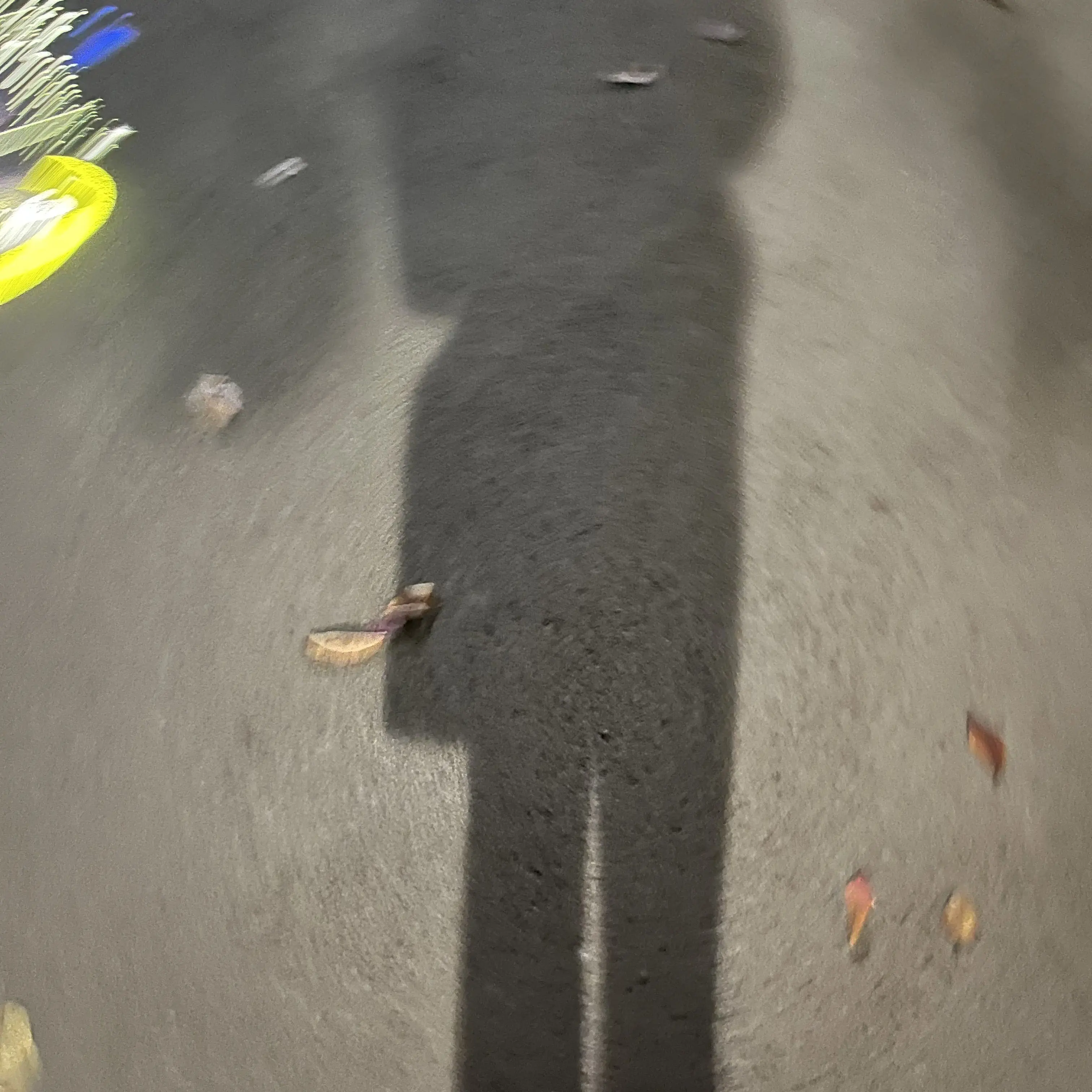 SubtleVideo1374의 황현진