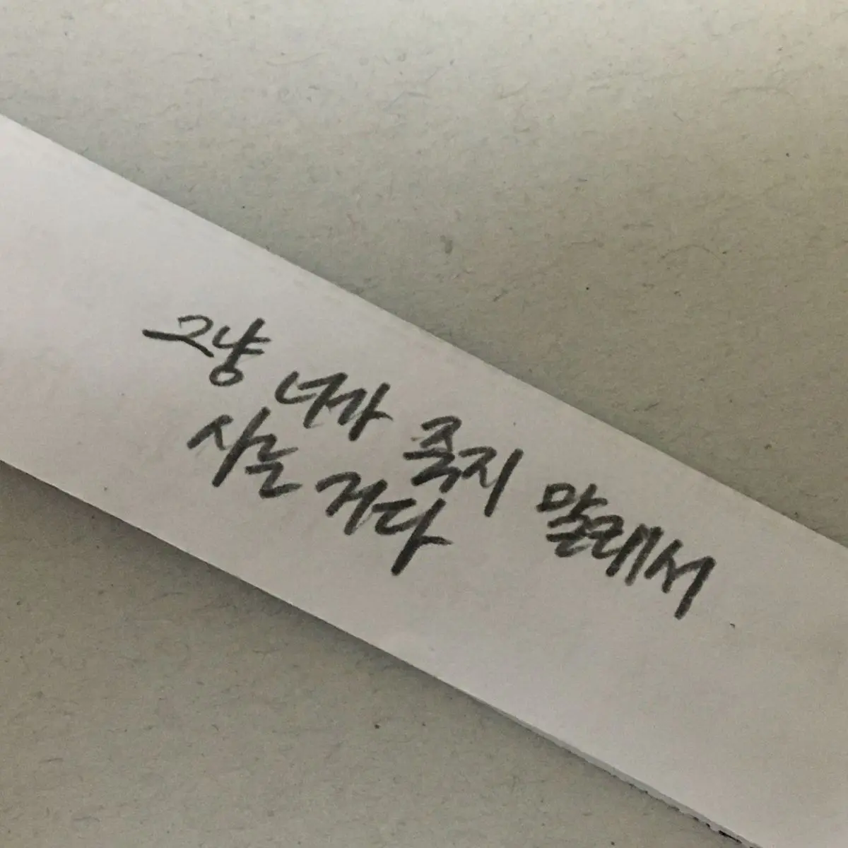 Youwill_fall_forme의 사랑하면 지켜야될 규칙