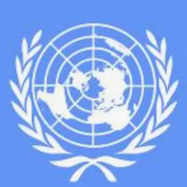 Profile image of 国連