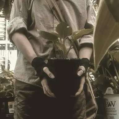 Profile image of Neville