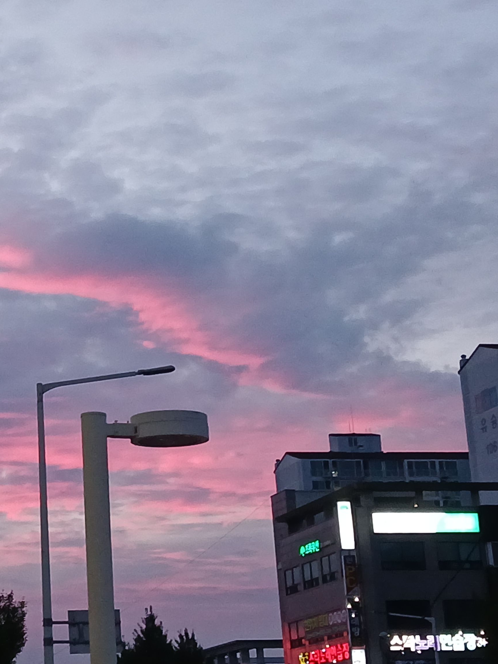 내맘대로, 근데 퍼리를 곁들인. 대표 이미지