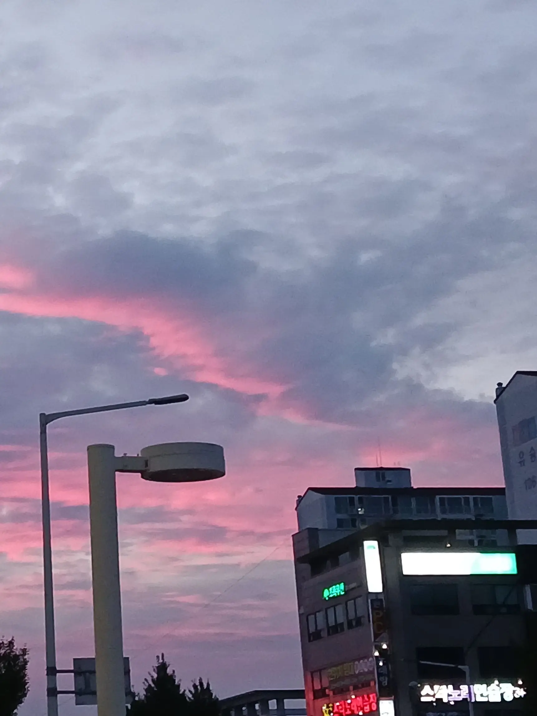 ClearTick6415의 내맘대로, 근데 퍼리를 곁들인.