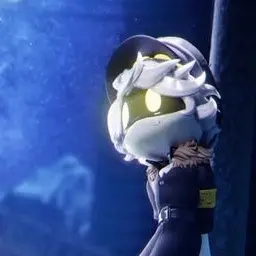 Profile image of N
