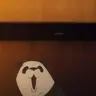 Profile image of 판다