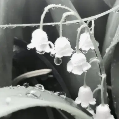 Profile image of 혜비