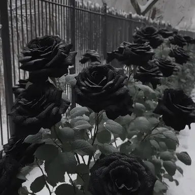 Profile image of 우융