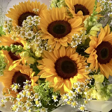 Profile image of 우토