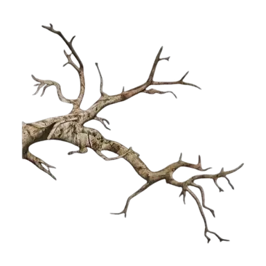 Profile image of Lily