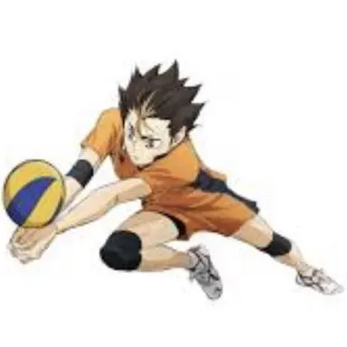 Profile image of のやっさん