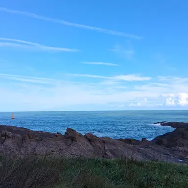 Profile image of 최효주