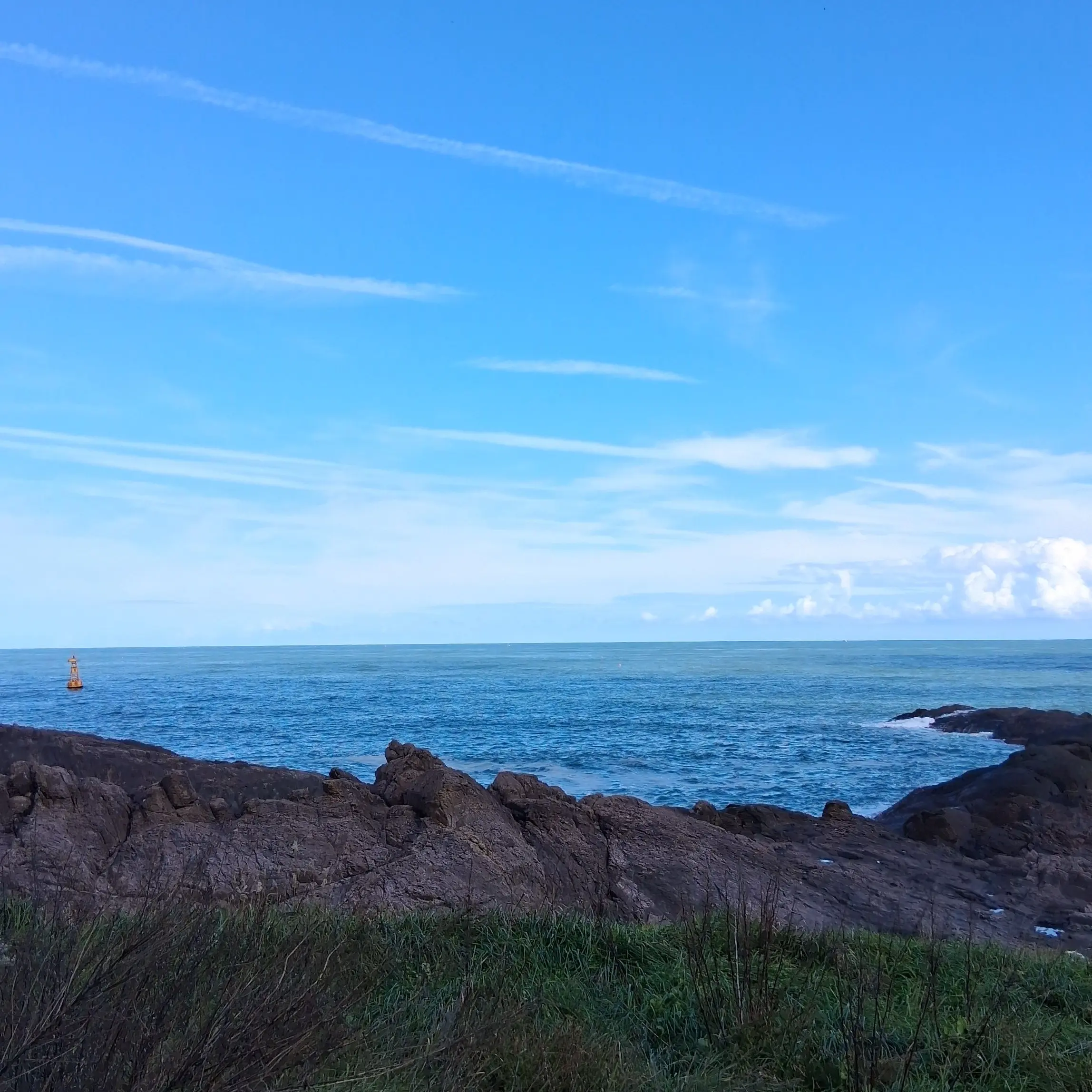 RuralForte4133의 애아빠는 남사친