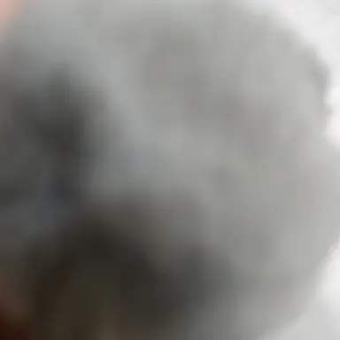 Profile image of .