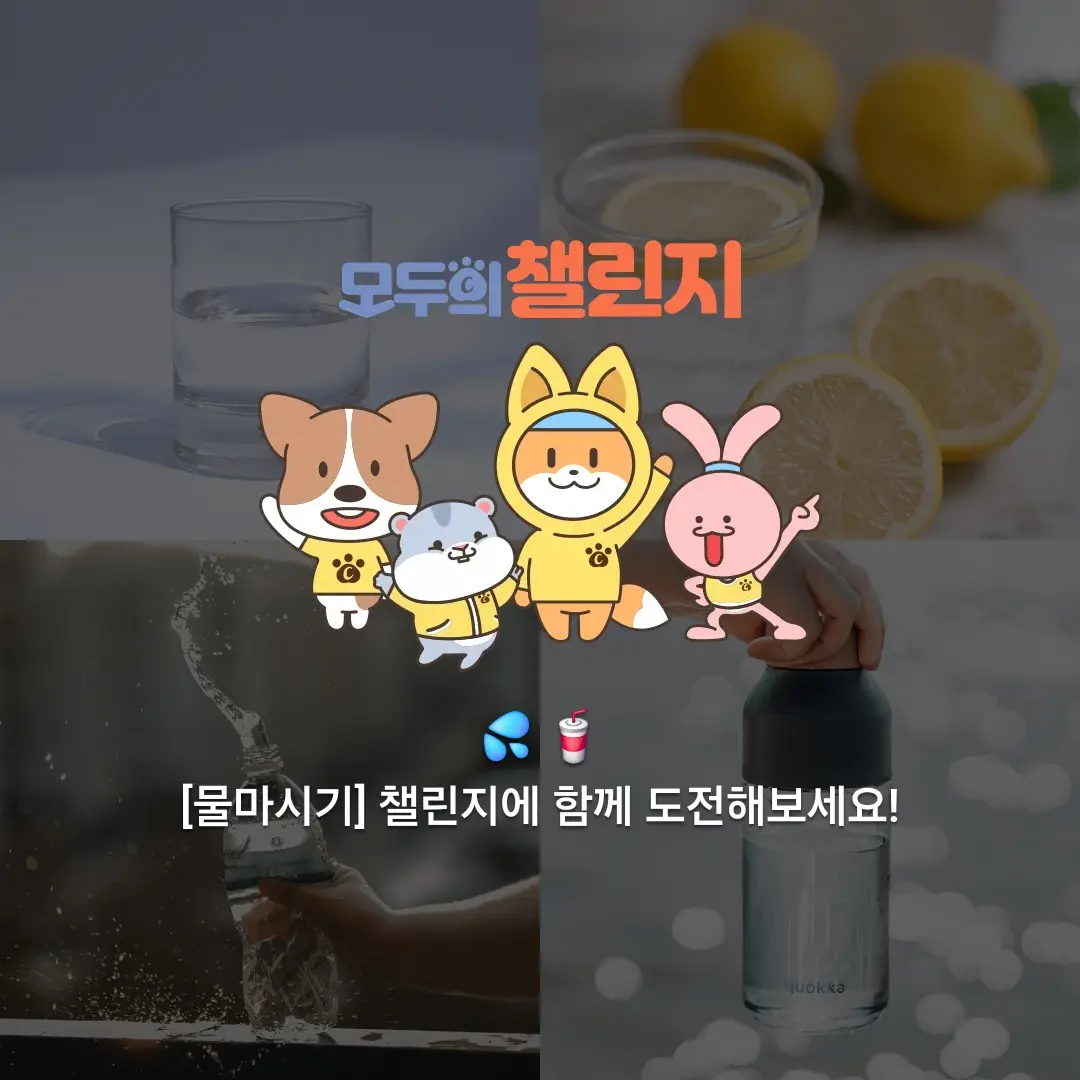 FlimsyBerry0978의 최성민