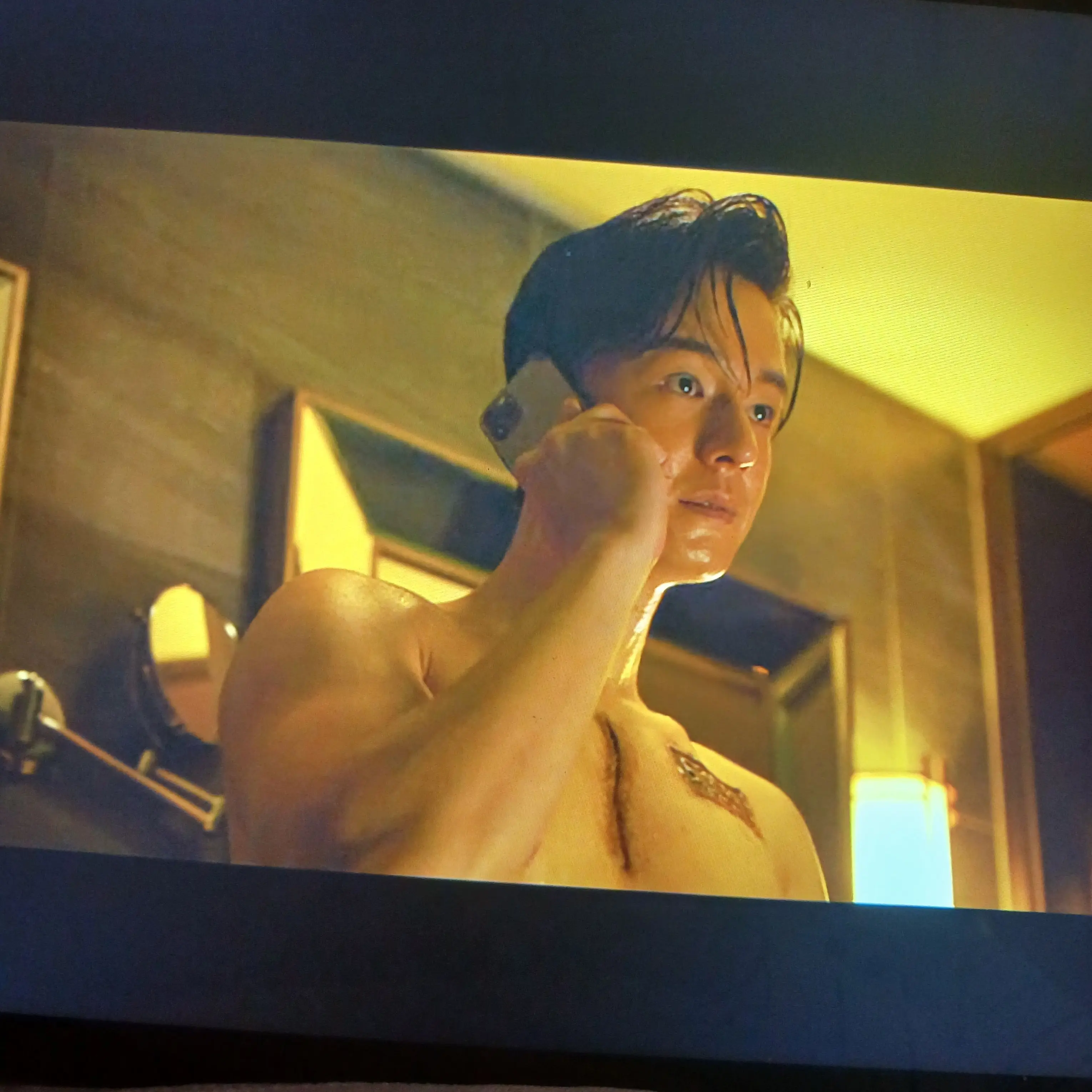 SoftAnkle6444의 표 이사