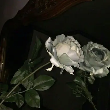 Profile image of 청 명