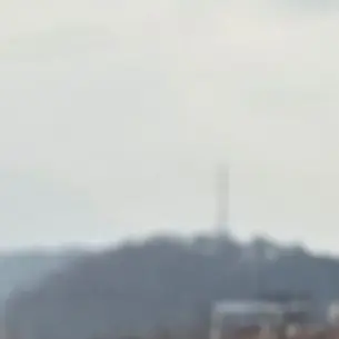 Ymidy의 중증외상센터