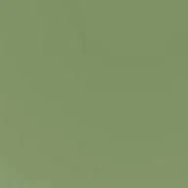 Profile image of ゾム