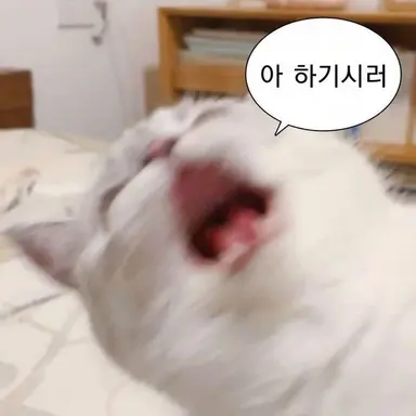 Profile image of 겐