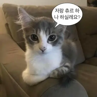 Profile image of 히비노 카프카