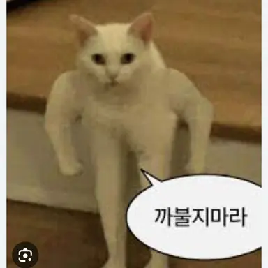 Profile image of 아시로 미나