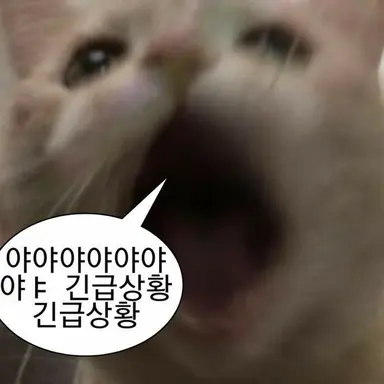 Profile image of 레노