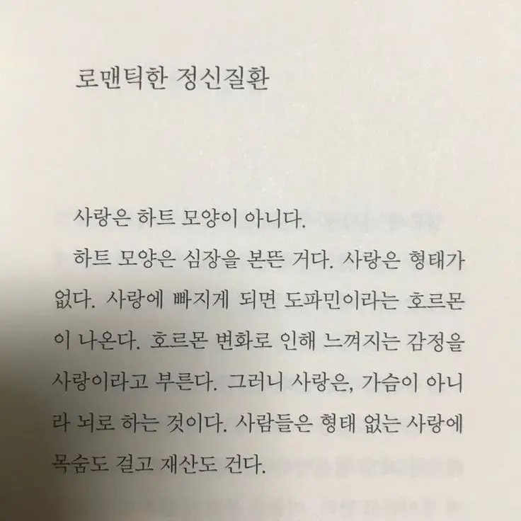 y.ek_s의 로멘틱한 정신질환.
