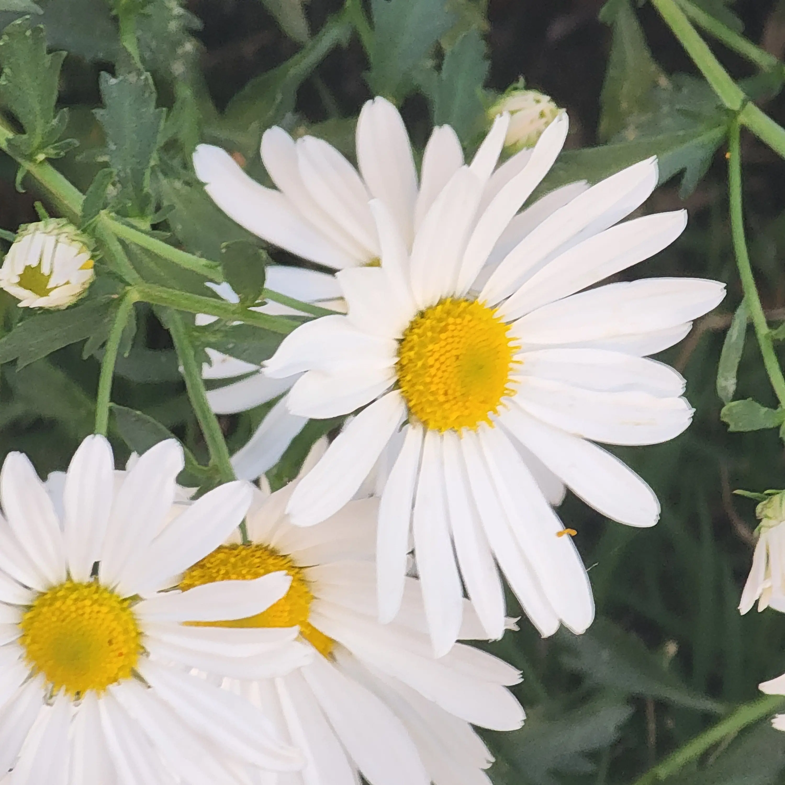 SkinnyWagon1995의 지쳐서