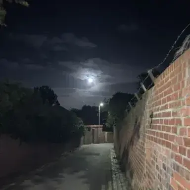 Profile image of A Dark Alleyway