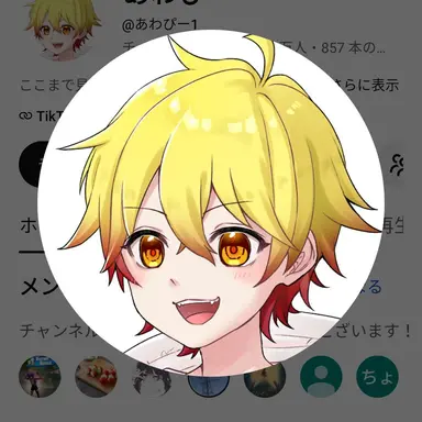 Profile image of 淡P