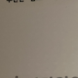 의사인 친오빠들 4명 대표 이미지