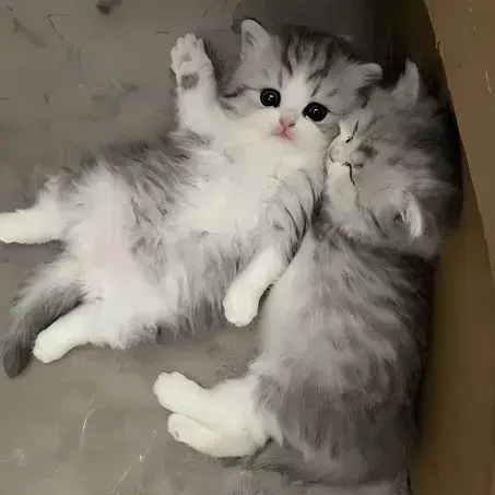 ChubbySign1176의 Milo and Otis