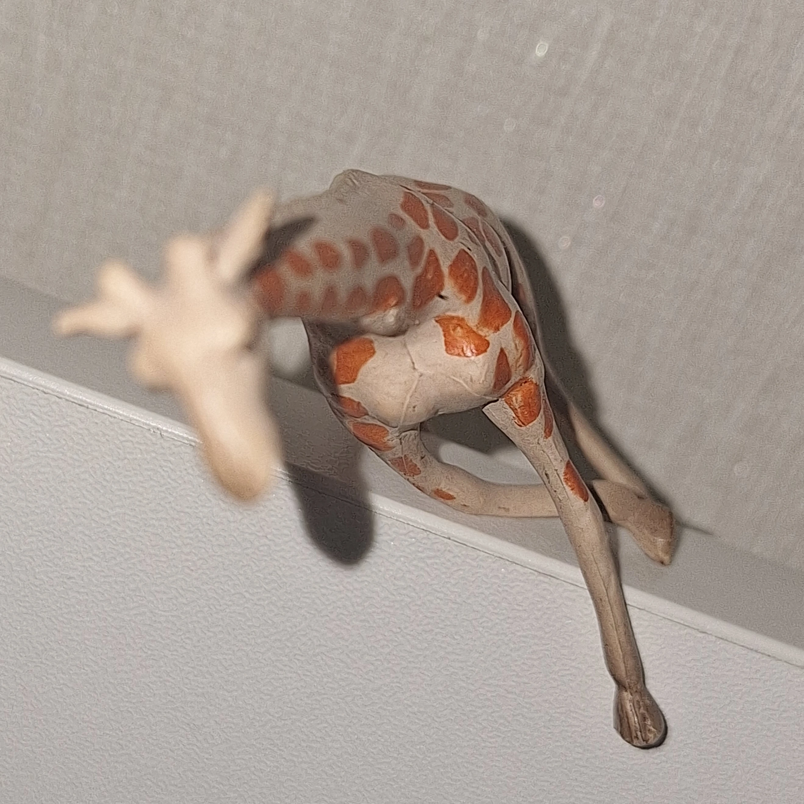 느좋 기린