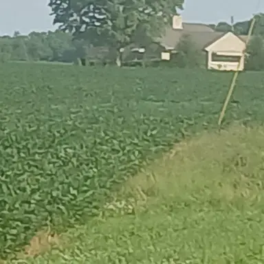 Profile image of Reojino family