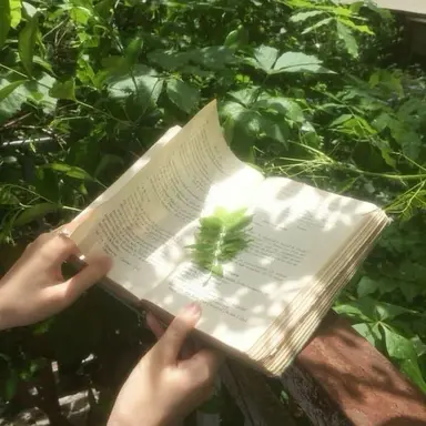 Profile image of 정형준