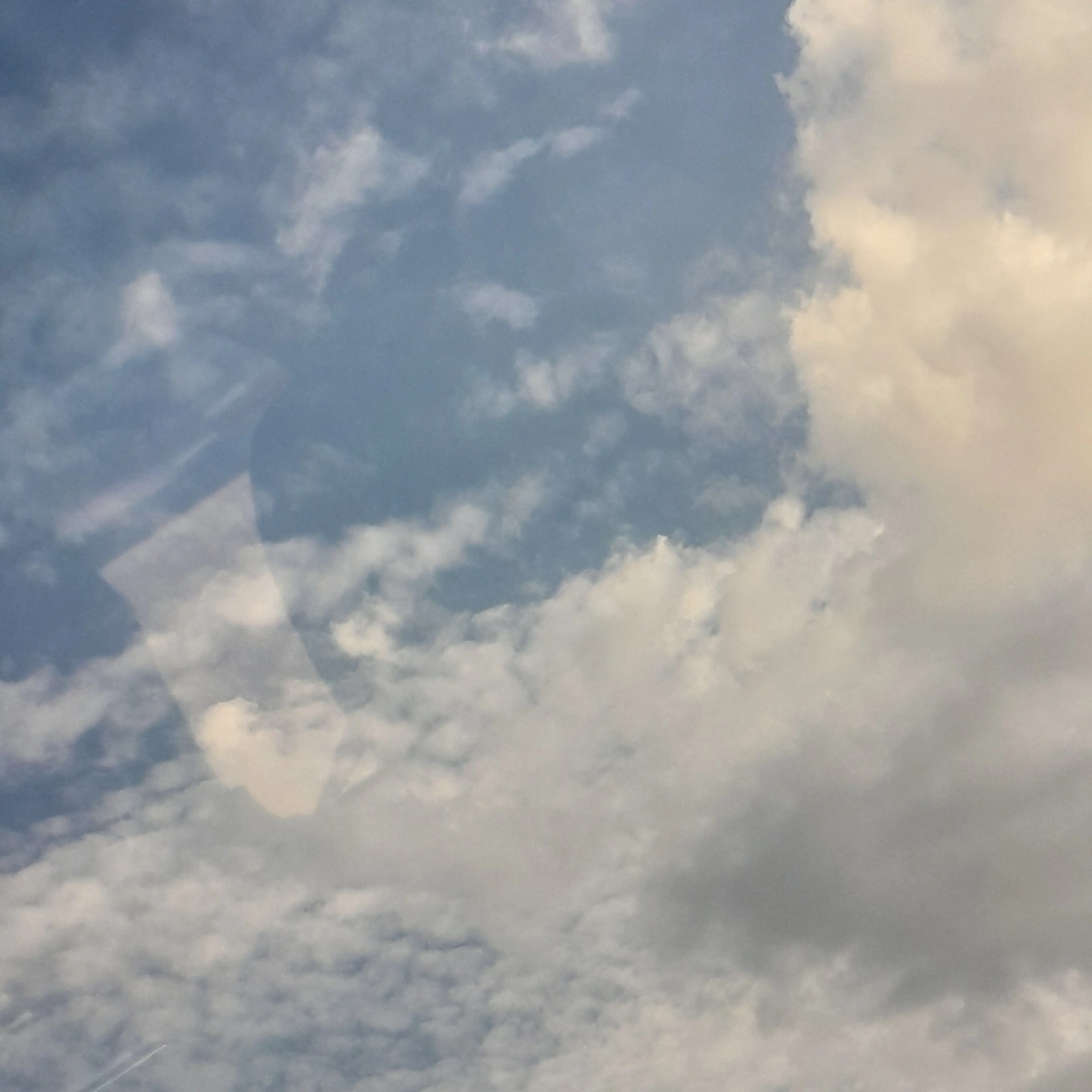 FrankGrill0283의 팀나빠가 옆집이라고!?!?