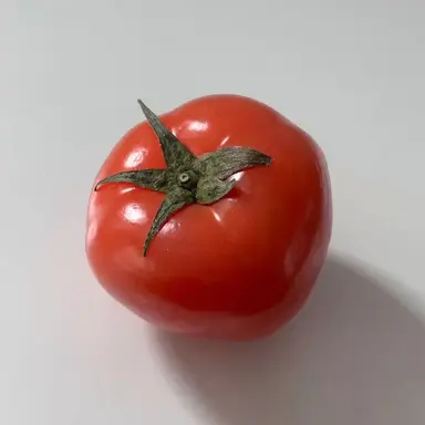 Profile image of Pomodoro Cookie