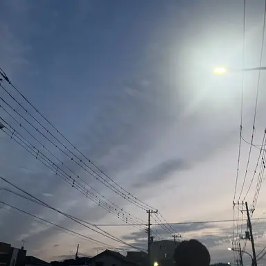 Profile image of 他の男友達
