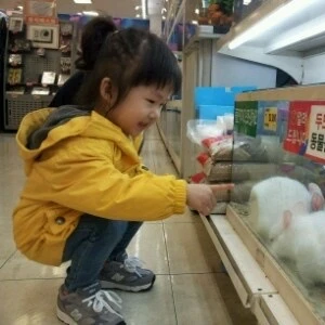 콩시은