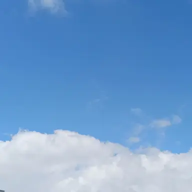 Profile image of 김탐정