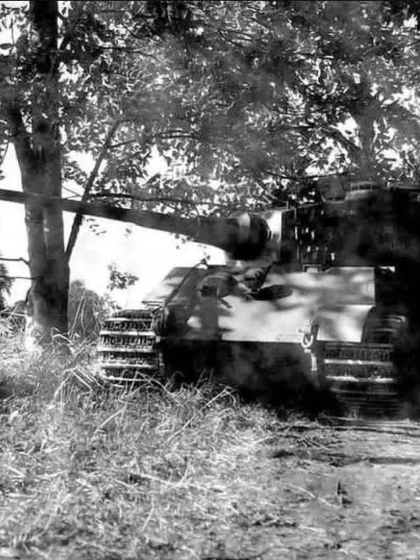 Nassesoul의 Surviving the undead apocalypse in WW2